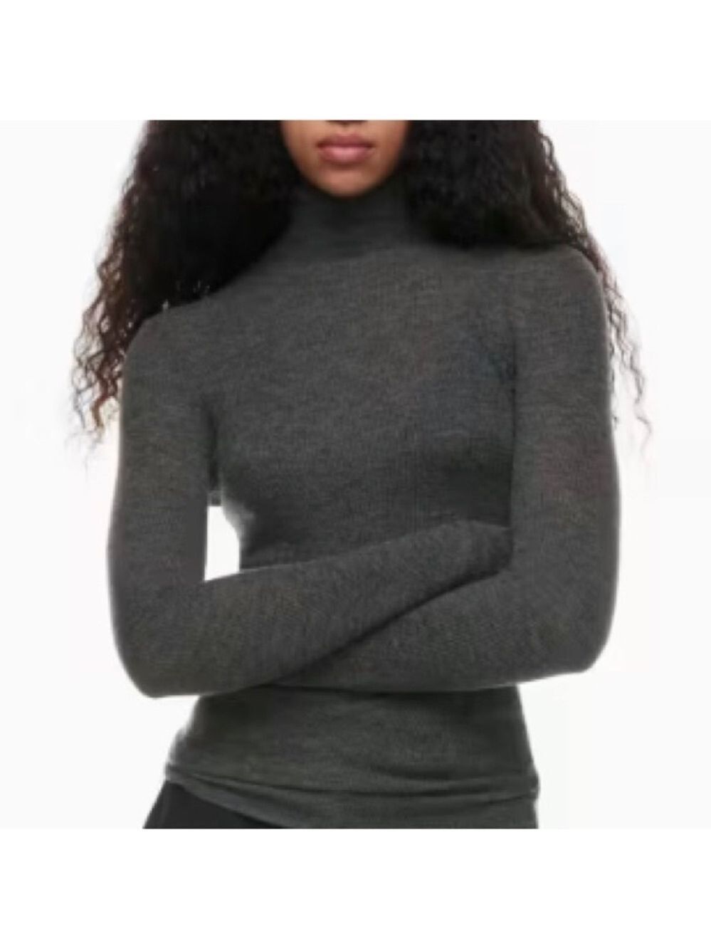NWT Reigning Champ (owned by Aritiza) grey turtleneck. Merino wool. XS
